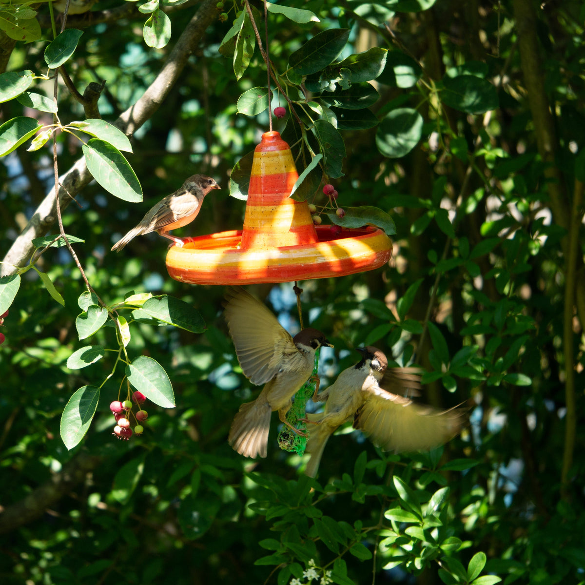 Handgefertigte hängende Keramik-Vogeltränke oder Futterschale mit orangefarbenem Streifendesign. Wetterbeständig und ideal für Garten, Balkon oder Terrasse.
