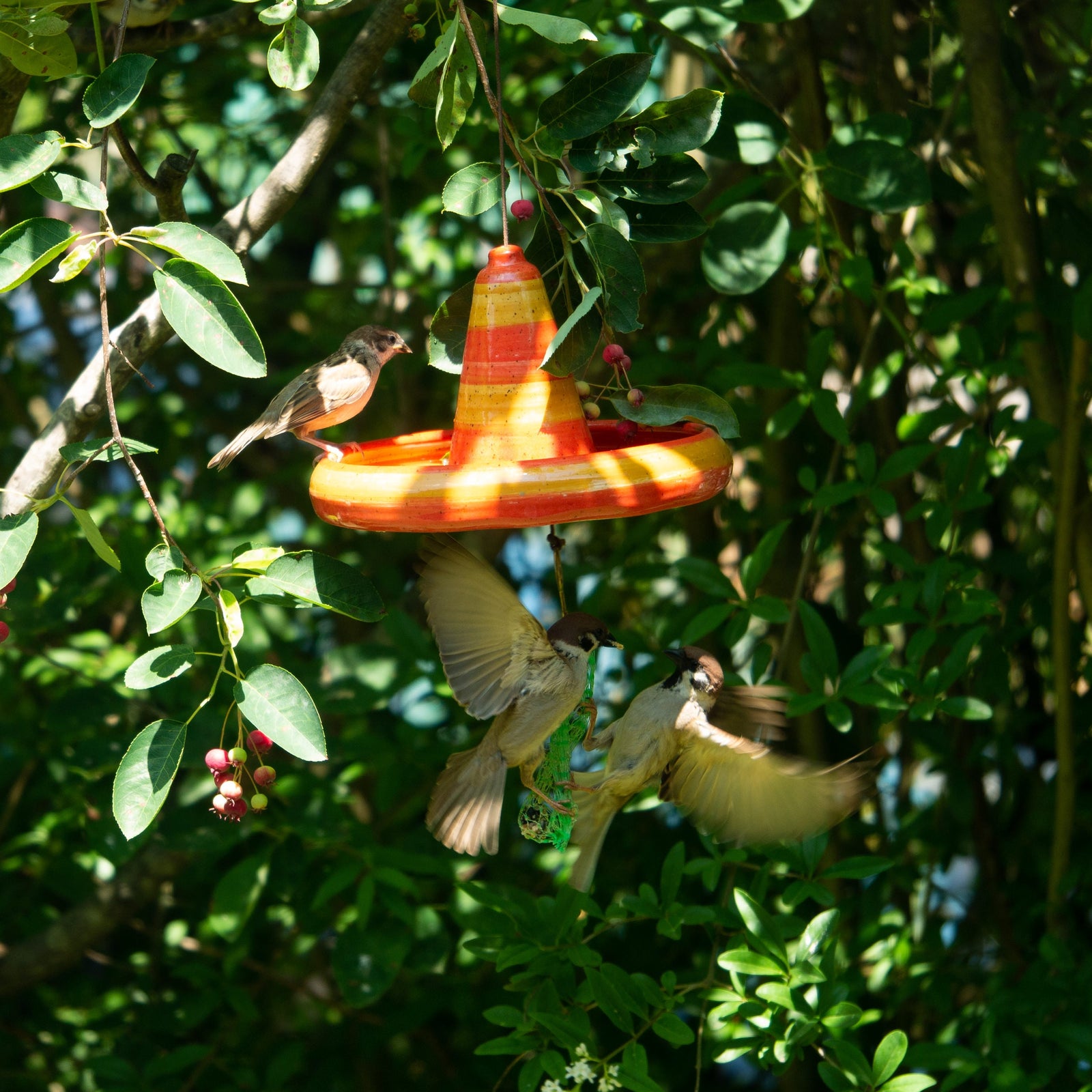 Handgefertigte hängende Keramik-Vogeltränke oder Futterschale mit orangefarbenem Streifendesign. Wetterbeständig und ideal für Garten, Balkon oder Terrasse.