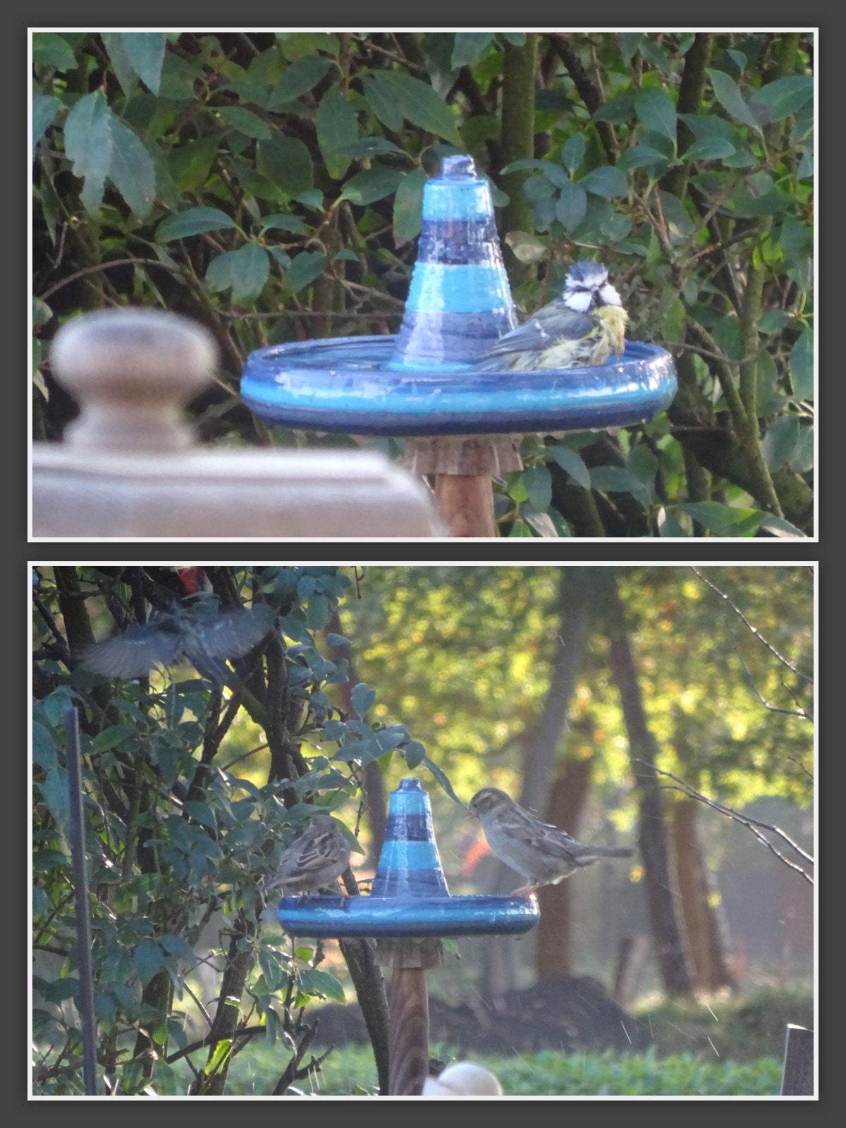 Handgefertigte hängende Keramik-Vogeltränke oder Futterschale mit blauem Streifendesign. Wetterbeständig und ideal für Garten, Balkon oder Terrasse.