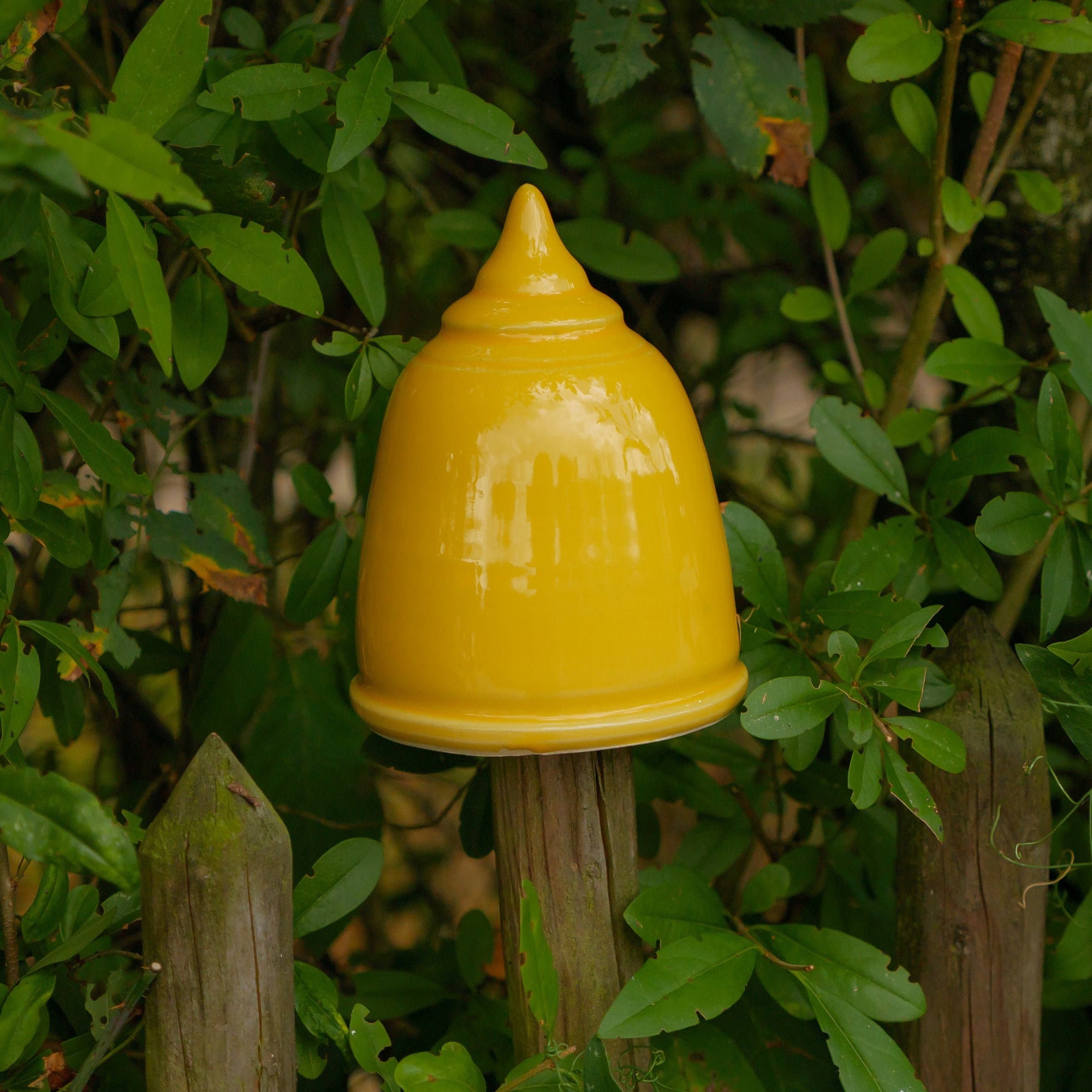 Garden top, H about 12 cm, opening 5-6 cm, yellow