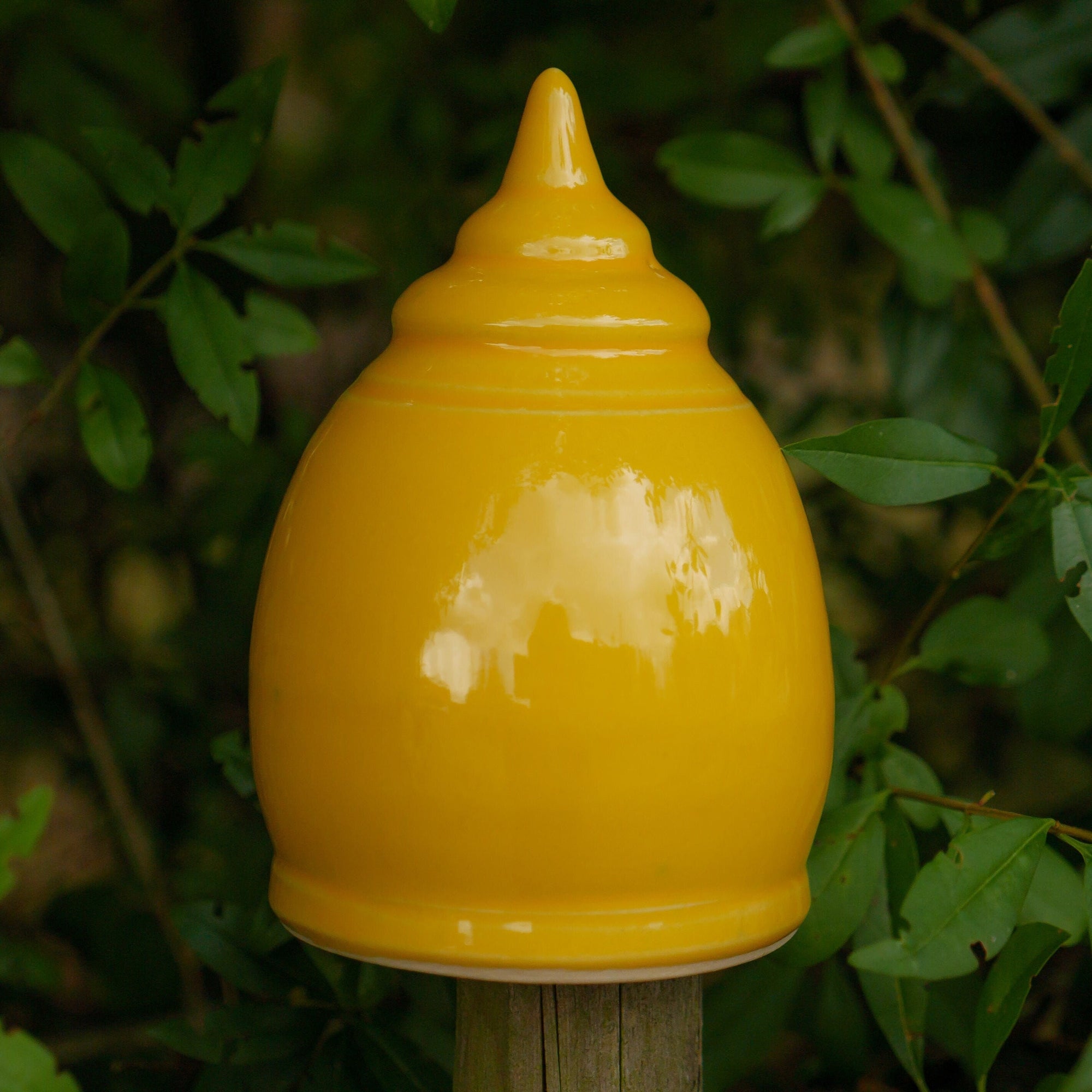 Garden top, H about 12 cm, opening 5-6 cm, yellow