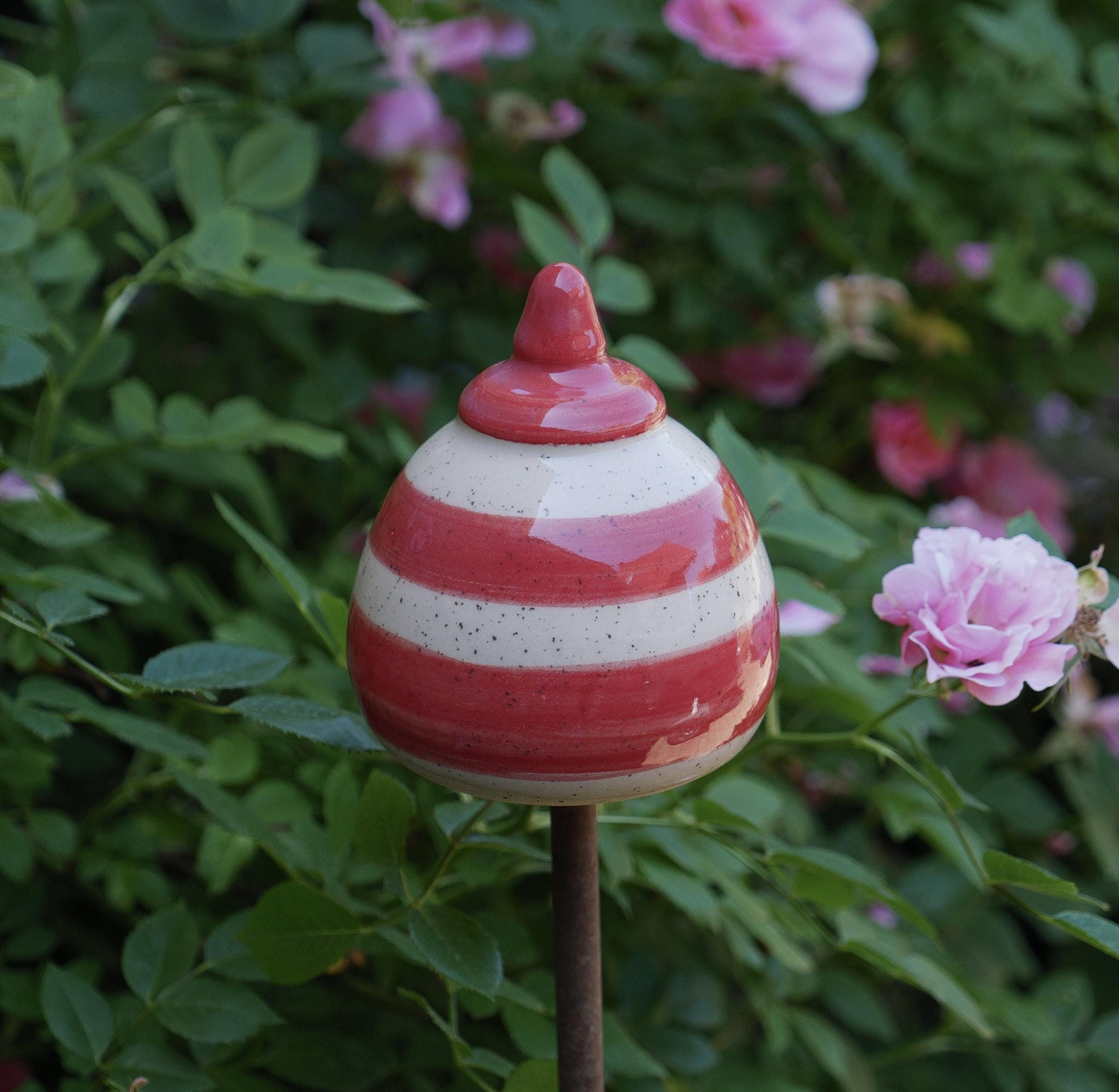 Gartenspitze (12-13 cm hoch )